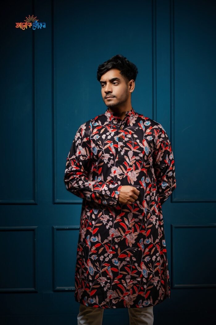 Exclusive Panjabi Collection - Image 2